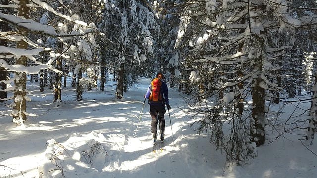 雪の舞う楽園へ：究極のスキーツアー体験ガイド